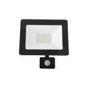 Cata 30W Led Projektör Smd Ct-4653 - Beyaz Işık