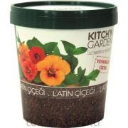 Latin Çiçeği(Yenebilir) Kıtchın Garden-6008