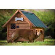 Mandu Isı Yalıtımlı Ahşap Köpek Kulübesi (Medium) (İsimlik+Mama Kabı HEDİYE) mnd59
