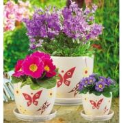 Zen Home Seramik Saksı Küçük Kelebek VT.9304