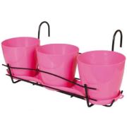 Sardunya Saksı Askılı Ucuz Fresh 470x220 mm- SAÜSF